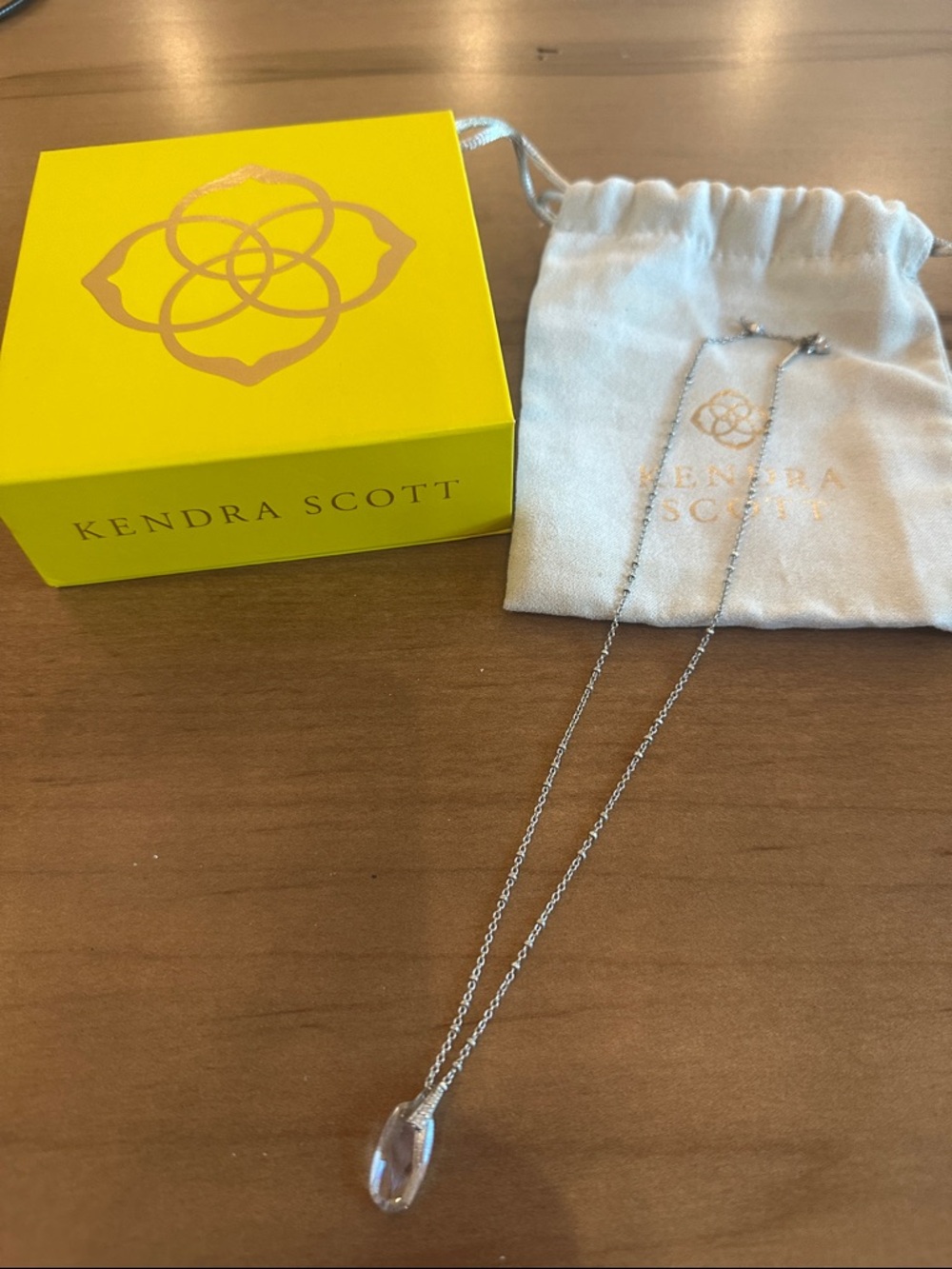 Kendra Scott Silver Necklace with Clear Faceted Pendant